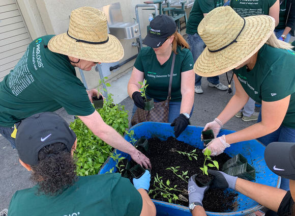 People gardening