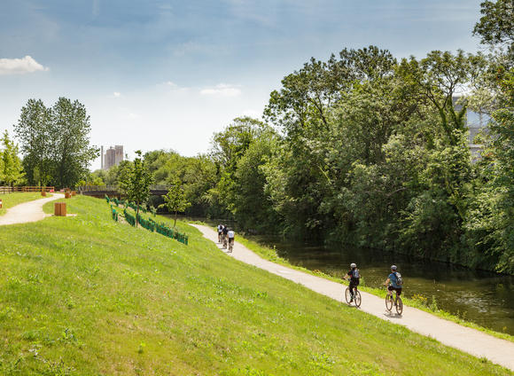 people riding bikes